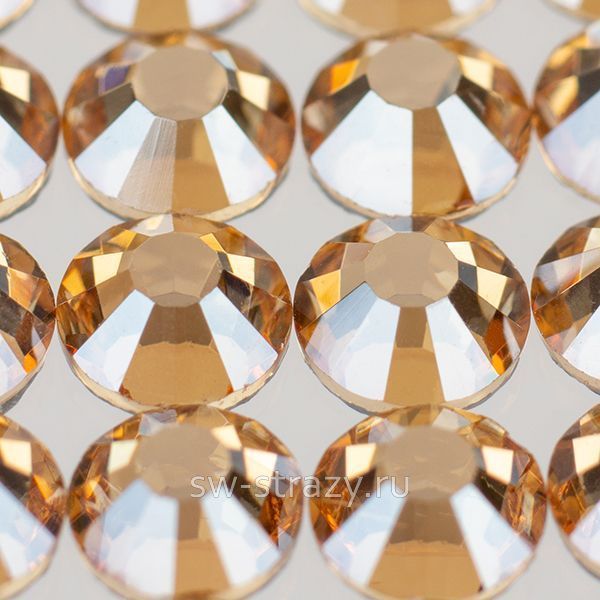 YHB 28 ss34 Golden Shadow HF 205