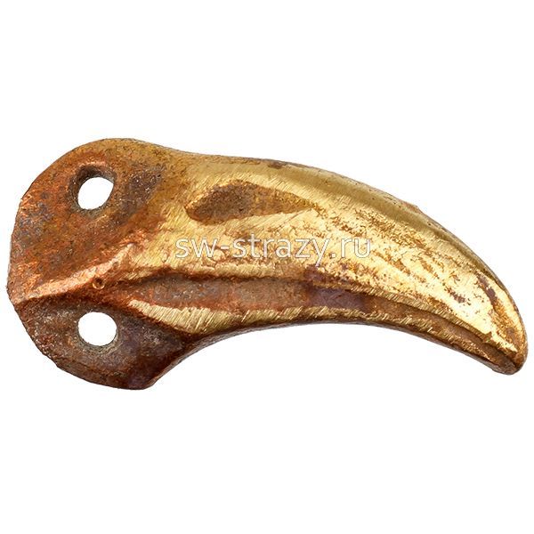 Клюв большой хищной птички (1-011)